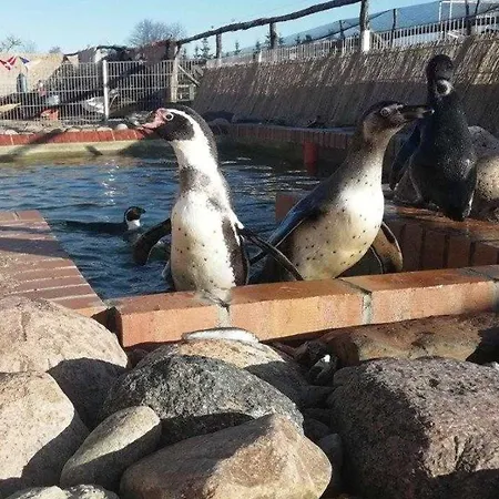 Wohlfuehlurlaub Im Tatil Evi Grabowhoefe