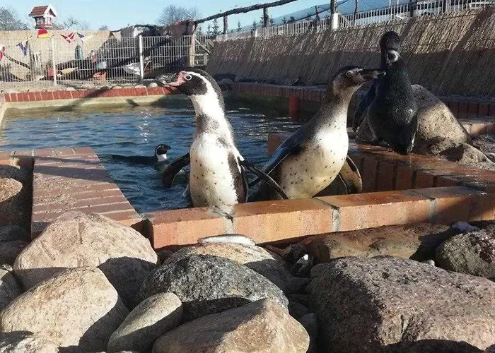 Wohlfuehlurlaub Im Дом отдыха Grabowhoefe